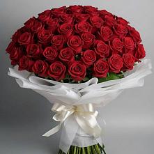 Букет 101 Красная роза Блэк Мэджик в Ходаево