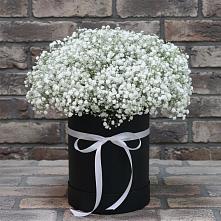 Цветочная композиция из Гипсофила в шляпной коробке в Ходаево