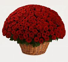 Премиум букет из: Розы #REPLACE_PRED# Ходаево